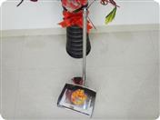 �����������Բ�Σ�